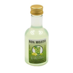 BOTELLA PLASTICO LICOR MOJITO 50 ML