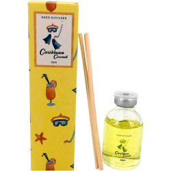 AMBIENTADOR SUMMER 30 ML